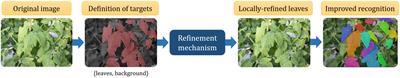 Local refinement mechanism for improved plant leaf segmentation in cluttered backgrounds